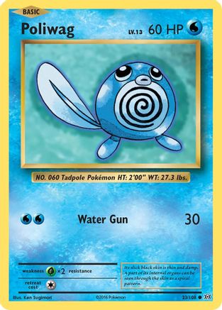 Poliwag (023/108) [XY  Evolutions] Reverse Holofoil - Common