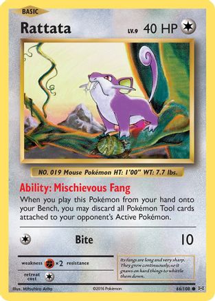 Rattata (066/108) [XY  Evolutions] - Common