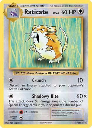 Raticate (067/108) [XY  Evolutions] Reverse Holofoil - Rare