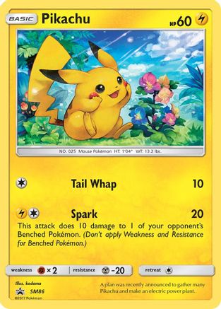 Pikachu (SM86/248) [SM Promos] Holofoil - Promo