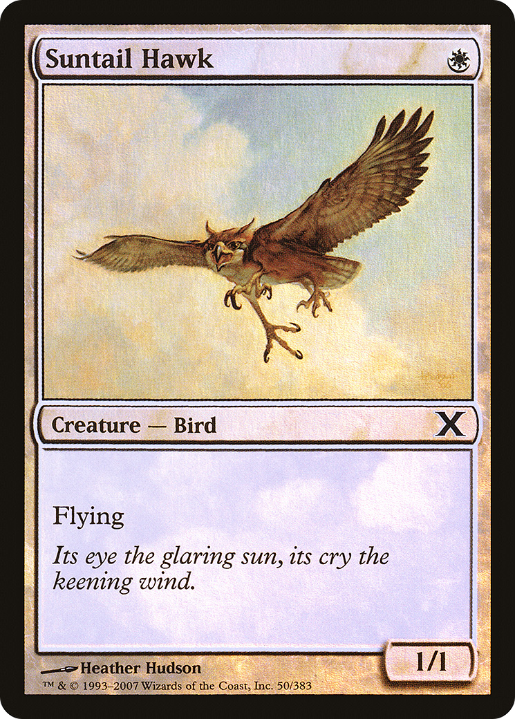 Suntail Hawk (10E-50★) [Tenth Edition] Foil