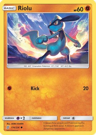 Riolu (116/236) [SM  Unified Minds] - Common