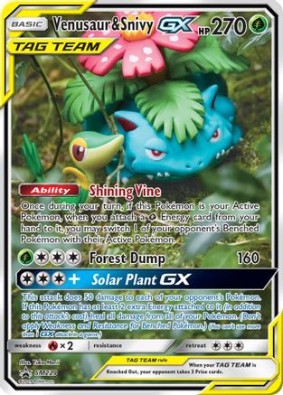 Venusaur & Snivy GX (SM229/248) [SM Promos] Holofoil - Promo