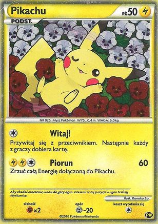 Pikachu (Polish) (0PW) [Pikachu World Collection Promos] Holofoil - Promo