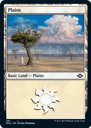 Plains (MH2-481) (Foil Etched) [Modern Horizons 2] Foil