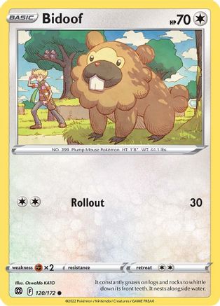 Bidoof (120/172) [SWSH09 Brilliant Stars] - Common