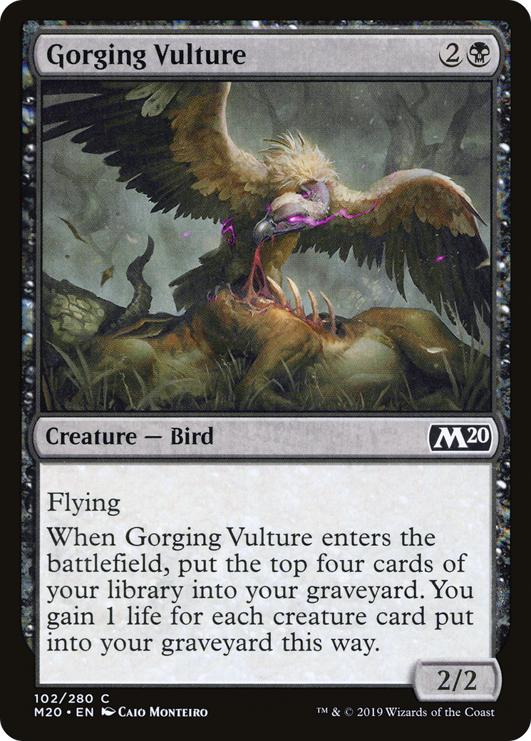 Gorging Vulture (M20-102) [Core Set 2020] Foil