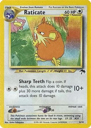 Raticate (006/18) [Southern Islands] - Promo