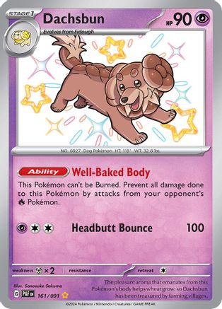 Dachsbun (161/091) [SV Paldean Fates] Holofoil - Shiny Rare