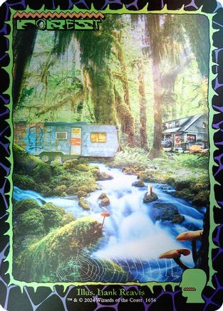 Forest (SLD-1656) (Rainbow Foil) [Secret Lair Drop Series] Foil