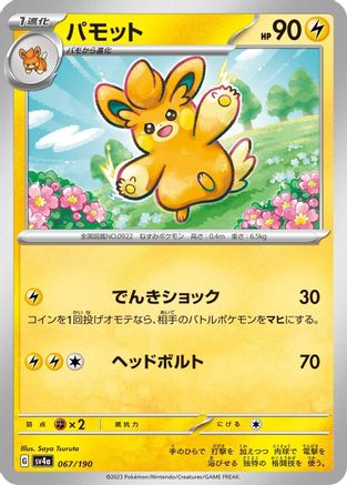 Pawmo - 067/190 (067/190) - SV4a Shiny Treasure ex
