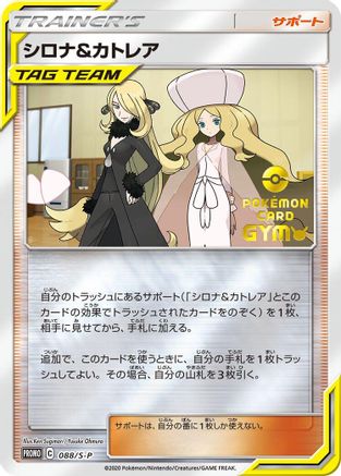 Cynthia & Caitlin - 088/S-P (088/S-P) - SP Sword  Shield Promos Holofoil