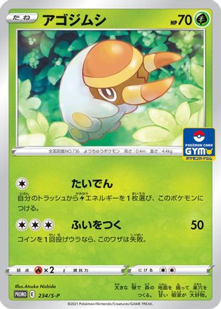 Grubbin - 234/S-P (234/S-P) - SP Sword  Shield Promos