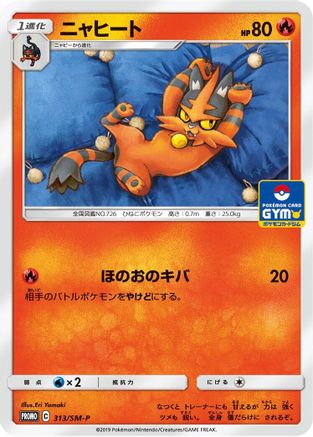 Torracat - 313/SM-P (313/SM-P) - SMP Sun  Moon Promos
