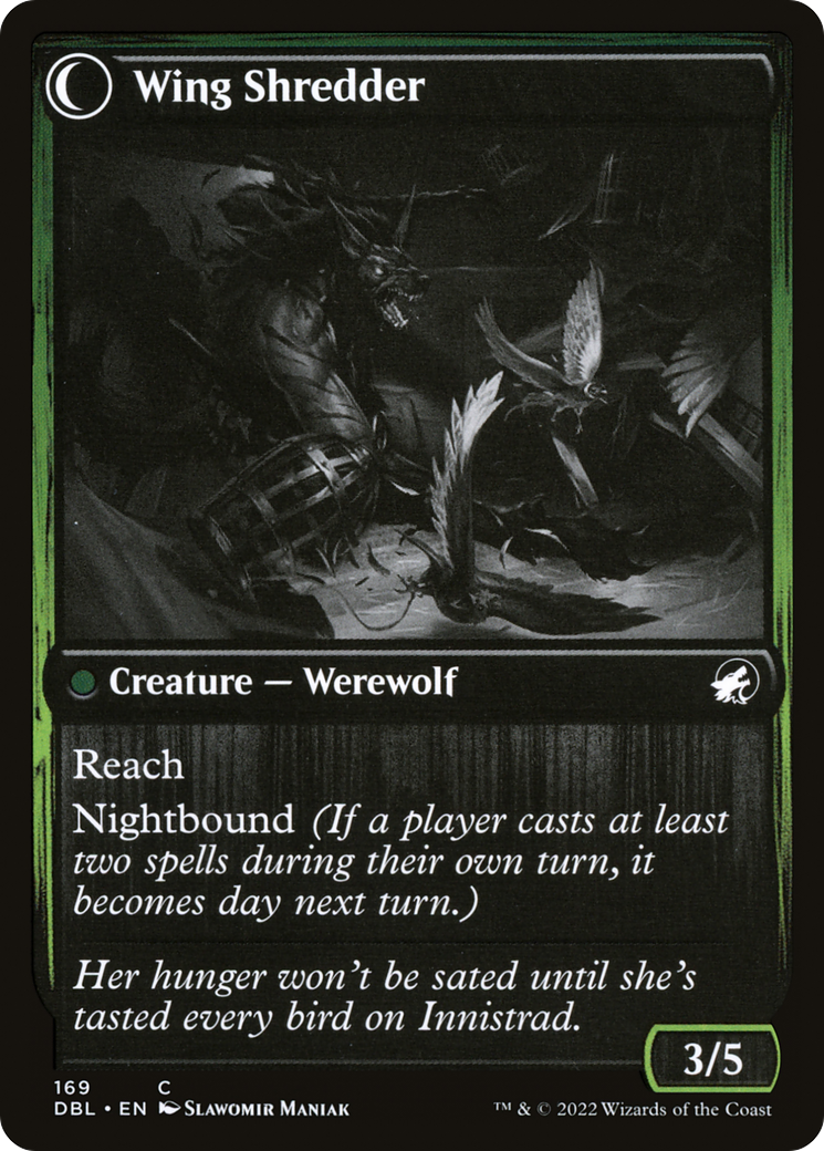 Bird Admirer (DBL-169) [Innistrad: Double Feature]