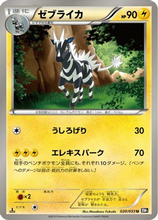Zebstrika (020/053) - BW1 Black Collection 1st Edition