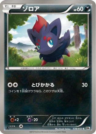 Zorua (036/053) - BW1 White Collection 1st Edition