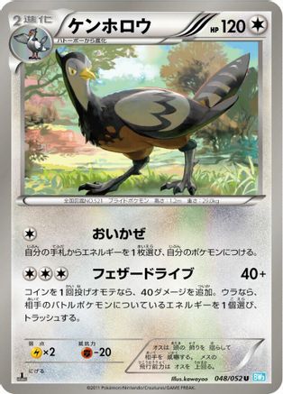 Unfezant (048/052) - BW3 Hail Blizzard 1st Edition