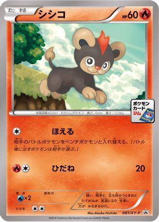 Litleo - 081/XY-P (081/XY-P) - XYP XY Promos