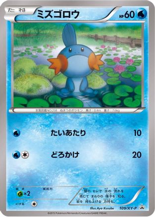 Mudkip - 109/XY-P (109/XY-P) - XYP XY Promos