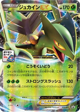 Sceptile EX - 163/XY-P (163/XY-P) - XYP XY Promos Holofoil