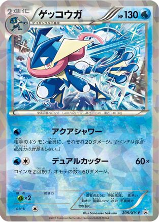 Greninja - 209/XY-P (209/XY-P) - XYP XY Promos Holofoil