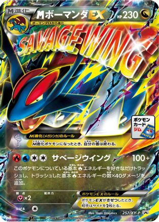 Salamence - 257/XY-P (257/XY-P) - XYP XY Promos Holofoil