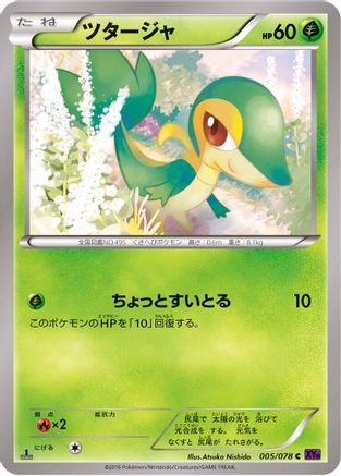 Snivy (005/078) - XY10 Awakening Psychic King 1st Edition