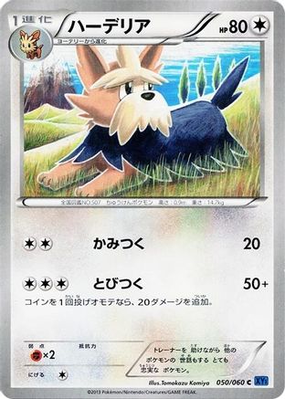 Herdier (050/060) - XYBx Collection X 1st Edition