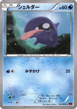 Shellder (016/060) - XYBy Collection Y 1st Edition