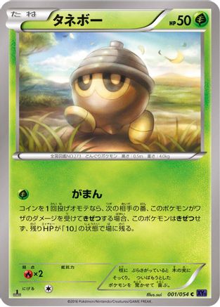 Seedot (001/054) - XY11Bb FeverBurst Fighter 1st Edition