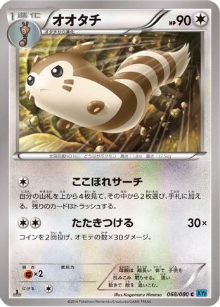 Furret (068/080) - XY2 Wild Blaze 1st Edition