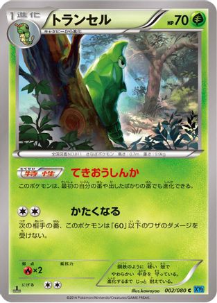 Metapod (002/080) - XY2 Wild Blaze 1st Edition