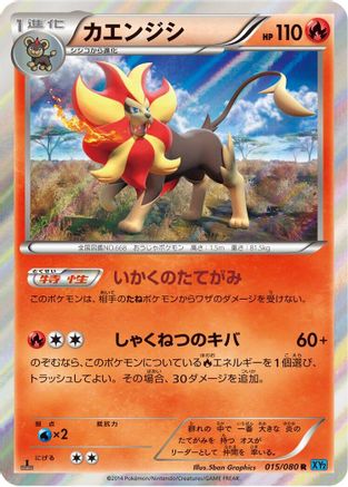 Pyroar (015/080) - XY2 Wild Blaze Unlimited Holofoil