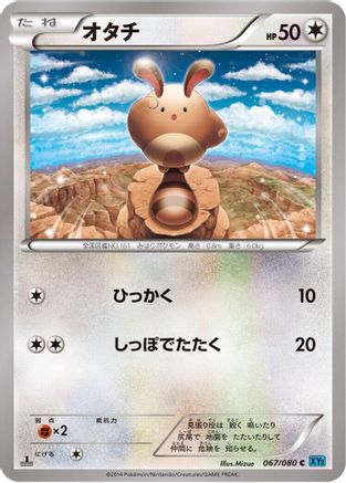 Sentret (067/080) - XY2 Wild Blaze Unlimited