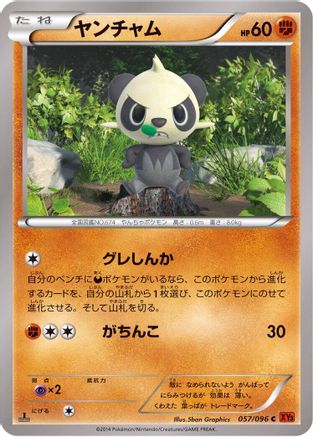 Pancham (057/096) - XY3 Rising Fist Unlimited
