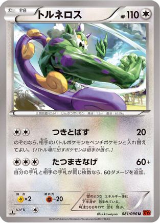 Tornadus (081/096) - XY3 Rising Fist 1st Edition