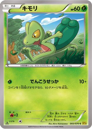 Treecko (003/070) - XY5Bg Gaia Volcano 1st Edition