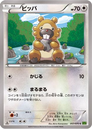 Bidoof - 057/070 (057/070) - XY5Bt Tidal Storm Unlimited