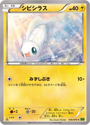 Tynamo (036/070) - XY5Bt Tidal Storm Unlimited