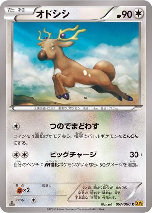 Stantler (067/080) - XY9 Rage of the Broken Heavens Unlimited