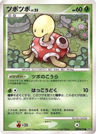 Shuckle  - DP3 Shining Darkness 1st Edition