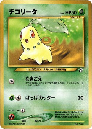 Chikorita  - Neo Premium File 1