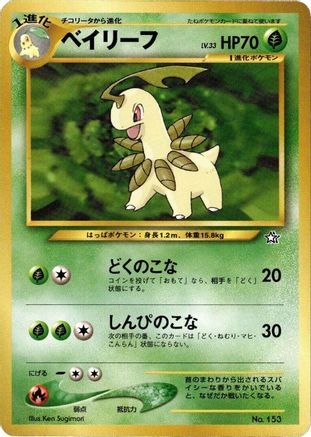 Bayleef  - Neo Premium File 1