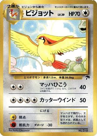 Pidgeot  - Southern Island