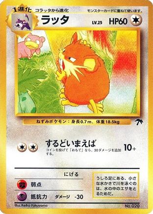 Raticate  - Southern Island