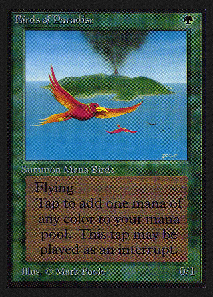 Birds of Paradise (CE) [Collectors' Edition]