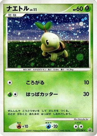Turtwig - 072/DP-P (072/DP-P) - DPP Promotional cards Holofoil