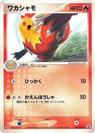 Combusken - 065/PCG-P (065/PCG-P) - PCGP Promotional cards