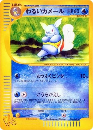 Dark Wartortle (024/048) - Pokemon Web 1st Edition